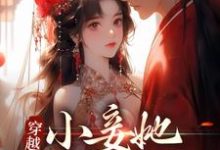 哪里能找到穿越：小妾她人美心狠小说的全部章节？-艾米文学