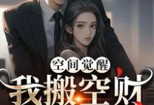 求推荐可以免费阅读空间觉醒:我搬空财库寻军官小说的网站-艾米文学