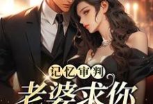 记忆审判：老婆求你看我一眼小说无弹窗阅读的网站推荐-艾米文学
