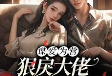 谋爱为营:狠戾大佬独宠我一人这本小说完结了吗?免费查看最新章节-艾米文学