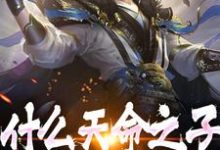 小说《什么天命之子，我是神选反派》章节免费阅读-艾米文学
