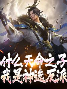 小说《什么天命之子，我是神选反派》章节免费阅读