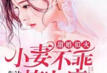甜婚似火:小妻不乖,撩上瘾叶南栀沈墨泽小说完结版章节在线阅读-艾米文学