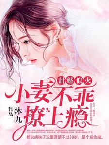 甜婚似火：小妻不乖，撩上瘾叶南栀沈墨泽小说完结版章节在线阅读
