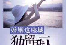 已完结小说《婚姻这座城,独留我一人》章节在线阅读-艾米文学