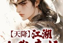 完结版《天降：江湖由我来护》章节阅读-艾米文学