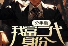 林言小说《分手后，我富二代身份被扒光了》在线阅读-艾米文学