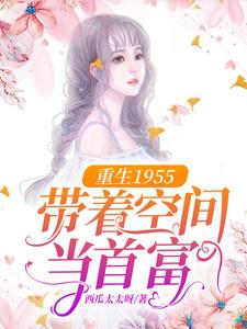 重生1955：带着空间当首富宋海宁陆思元，重生1955：带着空间当首富章节在线阅读