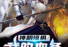 在线寻找神明惊惧：我的血条消失术小说的无删减版本-艾米文学