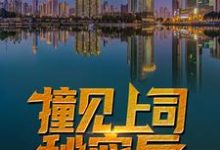 哪里能找到撞见上司秘密后，他平步青云了小说的最新更新和免费章节？-艾米文学