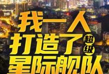 我一人打造了超级星际舰队章节免费在线阅读，赵辰完结版-艾米文学