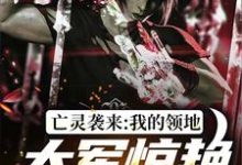 亡灵袭来，我的领地大军惊艳全世界小说无弹窗阅读的网站推荐-艾米文学