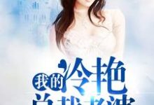 我的冷艳总裁老婆这本小说怎么样？免费在线阅读试试-艾米文学