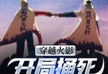 完结版《穿越火影：开局捅死宇智波佐助！》免费阅读-艾米文学
