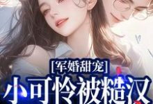 军婚甜宠：小可怜被糙汉老公宠爆了这本小说完结了吗？免费查看最新章节-艾米文学