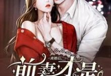离婚后，前妻才是白月光小说的所有章节都能在哪里免费读到？-艾米文学