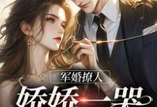 军婚撩人,娇娇一哭,他疯魔了小说有没有完结版在线?-艾米文学