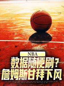NBA：数据随便刷？詹姆斯甘拜下风免费阅读，NBA：数据随便刷？詹姆斯甘拜下风章节目录