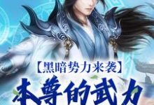 黑暗势力来袭，本尊的武力依旧强大小说的所有章节都能在哪里免费读到？-艾米文学