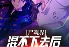 《尸魂界混不下去后我称霸全世界》全集免费在线阅读（刀城绫夜）-艾米文学