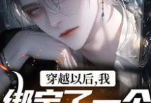 在线寻找穿越以后，我绑定了一个弃子系统小说的无删减版本-艾米文学