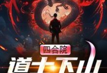 四合院：道士下山游戏人间于林小说在线章节目录阅读最新章节-艾米文学