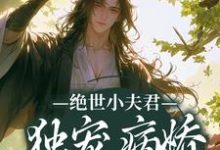 《绝世小夫君独宠病娇状元郎》小说章节列表免费试读，奚昀云雾小说在线阅读-艾米文学