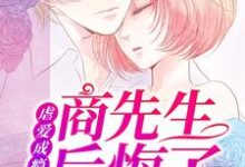 小说《虐爱成瘾:商先生后悔了》在线章节阅读-艾米文学