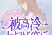 被高冷大叔娇宠后，我真香了（ 宋问盏商则寒）在线免费阅读-艾米文学