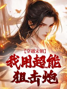 《穿越宋朝，我用超能狙击炮》赵诚完整版小说免费阅读