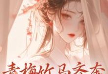 青梅竹马齐奔朝堂夺权势免费阅读，青梅竹马齐奔朝堂夺权势来娣宋天-艾米文学
