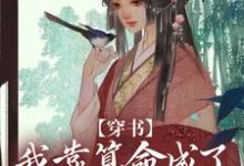 哪里能找到穿书：我靠算命成了修真界万人迷小说的全部章节？-艾米文学