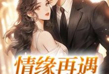 苏杭徐行之小说完整版《情缘再遇,我超爱!》免费阅读-艾米文学