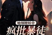 《她细腰娇骨，疯批暴徒强制爱》小说章节列表免费试读，沈彦洲关苒苒小说在线阅读-艾米文学