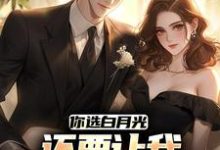 求你选白月光，还要让我继续当舔狗？小说免费资源-艾米文学