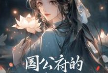 国公府的婢子靠山太硬小说有没有完结版在线？-艾米文学