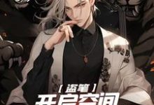 盗笔:开启空间,我带主角团起飞小说全文阅读需要付费吗?寻找免费资源-艾米文学