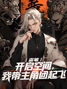 盗笔：开启空间，我带主角团起飞小说全文阅读需要付费吗？寻找免费资源