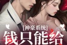 神豪系统：钱只能给男模花？龙若华小说完结版章节在线阅读-艾米文学