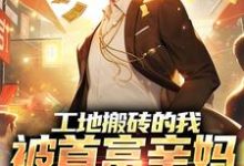 已完结小说《工地搬砖的我，被首富亲妈找回家》章节在线阅读-艾米文学