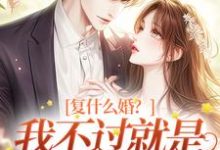 在线免费阅读复什么婚？我不过就是个备胎嘛！完整小说-艾米文学