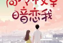 重生：死后才知，高冷校草暗恋我黎昕浅沈慕宸在线章节免费阅读-艾米文学