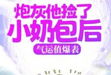 《炮灰他捡了小奶包后，气运值爆表》全集免费在线阅读（陆枣枣陆松年）-艾米文学