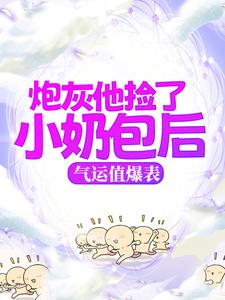《炮灰他捡了小奶包后，气运值爆表》全集免费在线阅读（陆枣枣陆松年）