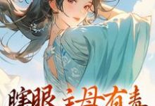 端木静姝完整版小说《瞎眼主母有毒，不做也罢》免费阅读-艾米文学