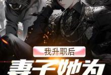 完结版《我升职后,妻子她为何不开心?》章节阅读-艾米文学