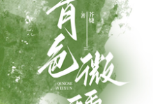 《青色微醺》小说傅青隐宋政章节章节免费在线阅读-艾米文学