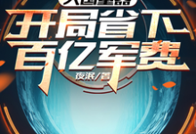 大国重器:开局省下百亿军费小说,大国重器:开局省下百亿军费在线阅读-艾米文学