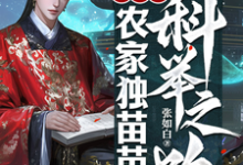 求穿越之农家独苗苗的科举之路小说的全文免费阅读链接-艾米文学