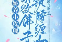 小说完整版《娇养小玫瑰,禁欲佛子锁腰缠吻》免费阅读-艾米文学